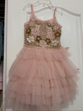 Ooh ! La, La ! Pink Beaded Floral Tulle Party Dress